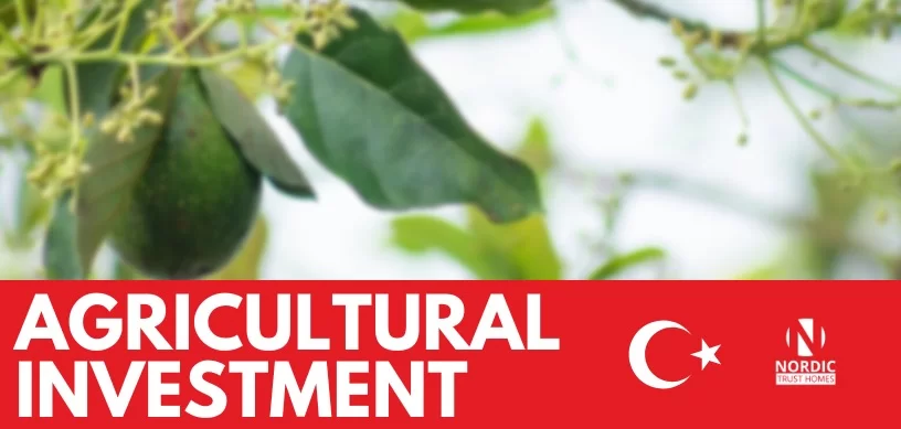 Die Landwirtschaft ist ein wichtiger Sektor der türkischen Wirtschaft
