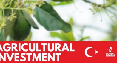 Сельское хозяйство является важным сектором экономики Турции и занимает 7-е место в мире по производству сельскохозяйственной продукции