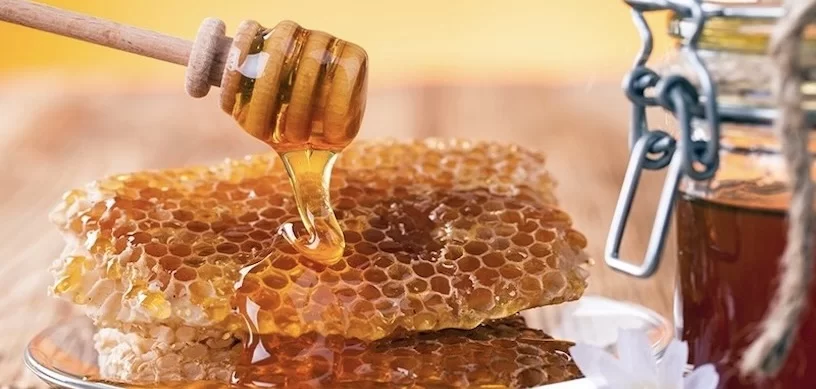 Türkischer Honig gehört zu den besten der Welt und ist auch als eine der ältesten Heilsubstanzen bekannt