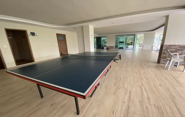 Elegantly Designed Ready-To-Move Flats for sale Close to the Beach in Kestel, Alanya